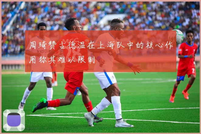 周琦赞古德温在上海队中的核心作用称其难以限制